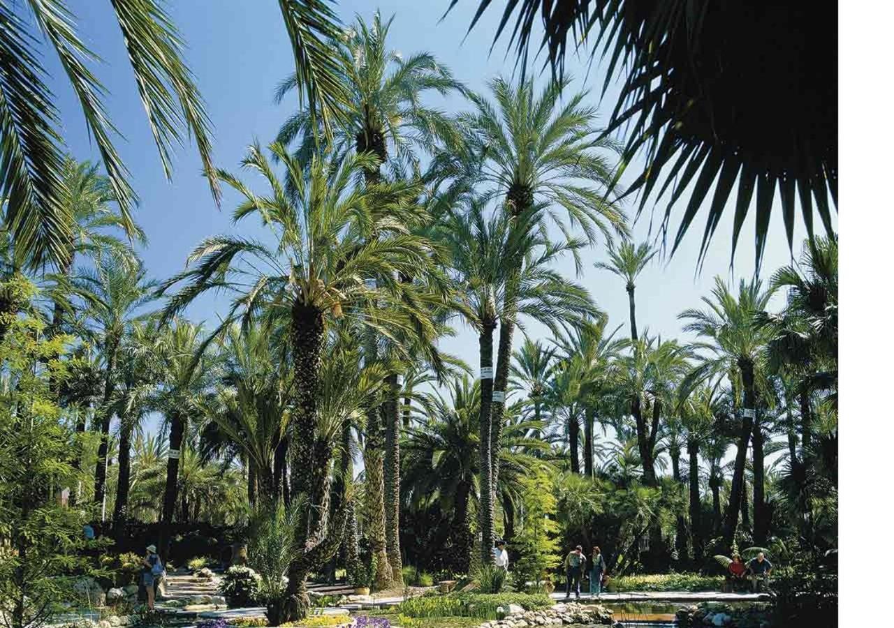 Luxury New Loft City Centre & Castle, Alicante Esterno foto